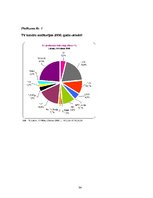 Referāts 'Telekompānijas LNT labdarības kampaņas "Labestības diena" 2007. un 2008.gadā nov', 34.