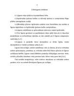 Referāts 'Visas mantas dāvinājums', 9.