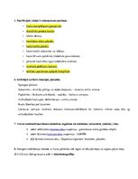 Paraugs 'Pārbaudes darbs studiju kursā - Medicīniskās tehnoloģijas', 2.