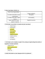 Paraugs 'Pārbaudes darbs studiju kursā - Medicīniskās tehnoloģijas', 3.