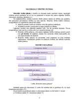 Referāts 'Materiālo vērtību plūsma un loģistikas izmaksas AS "X piens"', 3.