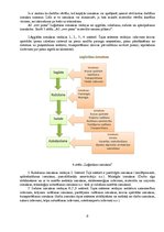 Referāts 'Materiālo vērtību plūsma un loģistikas izmaksas AS "X piens"', 8.