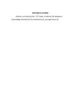 Referāts 'Magnijs', 11.