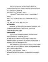 Referāts 'Magnijs', 14.