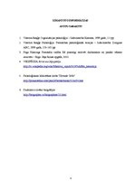 Referāts 'A.Maslova vajadzību piramīda', 8.