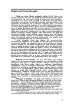 Referāts 'Padomju Krievija pēc Pirmā pasaules kara', 13.