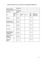 Referāts 'Iekšējā audita rokasgrāmata ', 16.