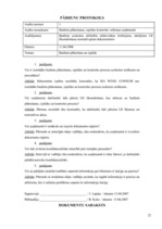 Referāts 'Iekšējā audita rokasgrāmata ', 18.