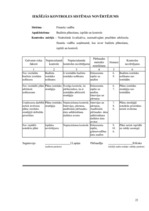 Referāts 'Iekšējā audita rokasgrāmata ', 20.