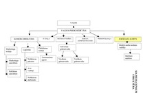 Referāts 'Iekšējā audita rokasgrāmata ', 46.