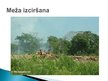 Prezentācija 'Tropu mežu resursi un aizsardzība', 7.