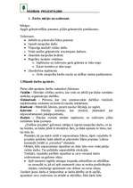 Konspekts 'Pavasara pieteikums vadības projektam "Mazpulka grāmatvedis"', 1.