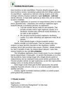 Konspekts 'Pavasara pieteikums vadības projektam "Mazpulka grāmatvedis"', 2.