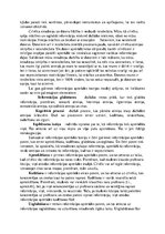 Eseja 'Informācijas apstrādes teorija', 2.