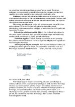 Eseja 'Informācijas apstrādes teorija', 3.