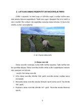 Referāts 'Retu dzīvnieku saglabāšanas veidi', 6.