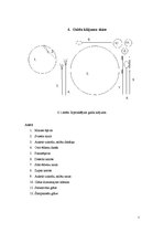 Referāts 'Banketa organizācijas aprēķini', 7.