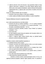 Biznesa plāns 'Mazumtirdzniecības uzņēmuma dibināšana', 4.