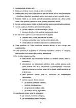 Biznesa plāns 'Mazumtirdzniecības uzņēmuma dibināšana', 6.