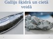 Prezentācija 'Trešās A grupas metāli', 17.
