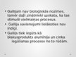 Prezentācija 'Trešās A grupas metāli', 18.