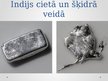 Prezentācija 'Trešās A grupas metāli', 22.