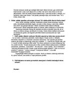 Konspekts 'J.Ezeriņa noveles "Kādas blusas stāsts", "Rožainais ēzelis"', 3.