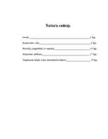 Referāts 'Firmas tirgus struktūras pētīšana', 1.