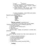 Referāts 'Firmas tirgus struktūras pētīšana', 9.