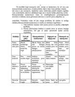 Referāts 'Firmas tirgus struktūras pētīšana', 11.