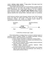 Referāts 'Firmas tirgus struktūras pētīšana', 15.