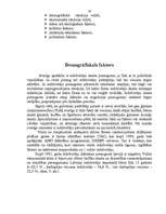 Referāts 'Firmas tirgus struktūras pētīšana', 19.