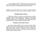 Referāts 'Firmas tirgus struktūras pētīšana', 23.