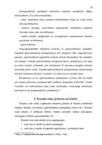 Referāts 'Apdrošināšana kā viens no riska pārvaldīšanas instrumentiem', 10.