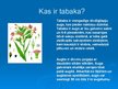 Prezentācija 'Kaitīgo vielu pastāvēšanas noteikšana tabakā un tabakas dūmos', 3.