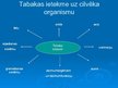 Prezentācija 'Kaitīgo vielu pastāvēšanas noteikšana tabakā un tabakas dūmos', 8.