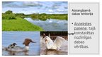 Prezentācija 'Upe Aiviekste', 10.