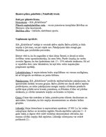 Biznesa plāns 'Biznesa plāns peintbola trasei', 2.