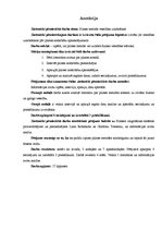 Referāts 'Pilates metode veselības uzlabošanā', 2.