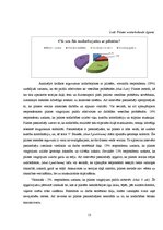 Referāts 'Pilates metode veselības uzlabošanā', 13.