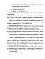 Diplomdarbs 'Dažādas pieejas vērtspapīru portfeļa veidošanai un pārvaldīšanai', 26.