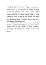 Eseja 'Lepoties ar svešām spalvām', 2.