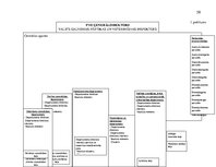 Prakses atskaite 'Procesu vadības pilnveide. Pārtikas un veterinārais dienests', 58.