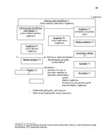 Prakses atskaite 'Procesu vadības pilnveide. Pārtikas un veterinārais dienests', 60.