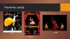 Prezentācija 'Flamenko', 11.