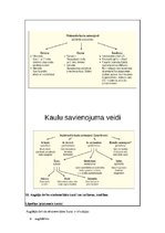 Konspekts 'Konspekts anatomijas eksāmenam', 9.