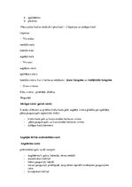 Konspekts 'Konspekts anatomijas eksāmenam', 10.