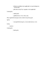 Konspekts 'Konspekts anatomijas eksāmenam', 14.