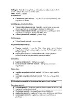 Konspekts 'Konspekts anatomijas eksāmenam', 19.