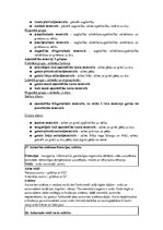 Konspekts 'Konspekts anatomijas eksāmenam', 22.